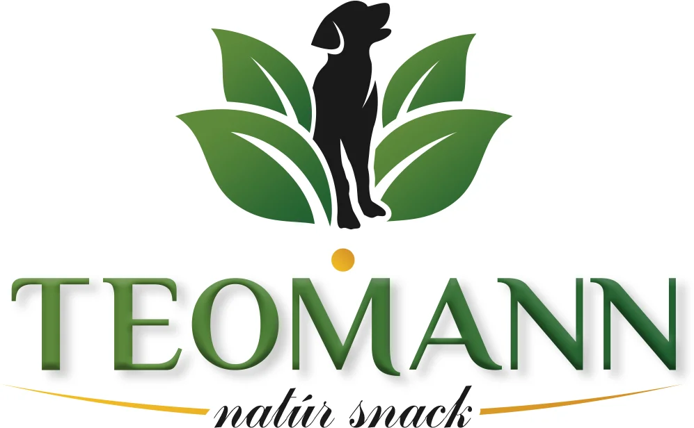Teomann logo